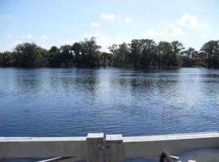 1131 Lemon Bluff Rd, Osteen, FL 32764