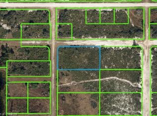 1301 S Munson Rd, Avon Park, FL 33825