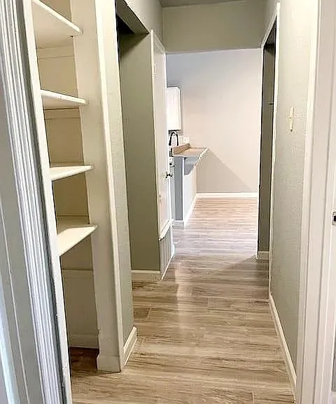 6605 Spring Lark Dr — Photo 5