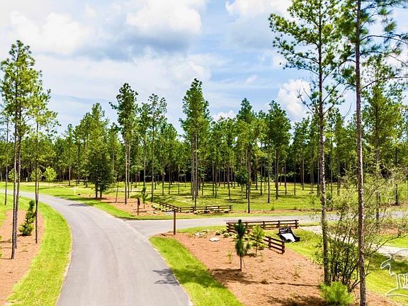 3rd image of 87 Pine Preserve Ln