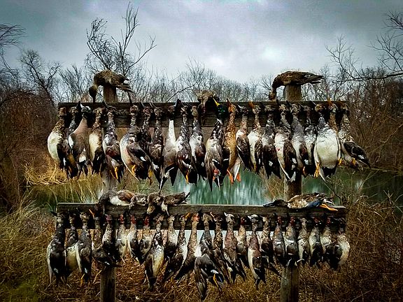 3rd image of 775 Ten Mile Rd
