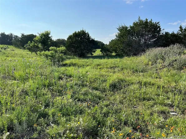 LOT 17 PR 16020 LOT 17, Jonesboro, TX 76538