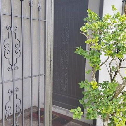 5th image of 8404 Camphor Dr