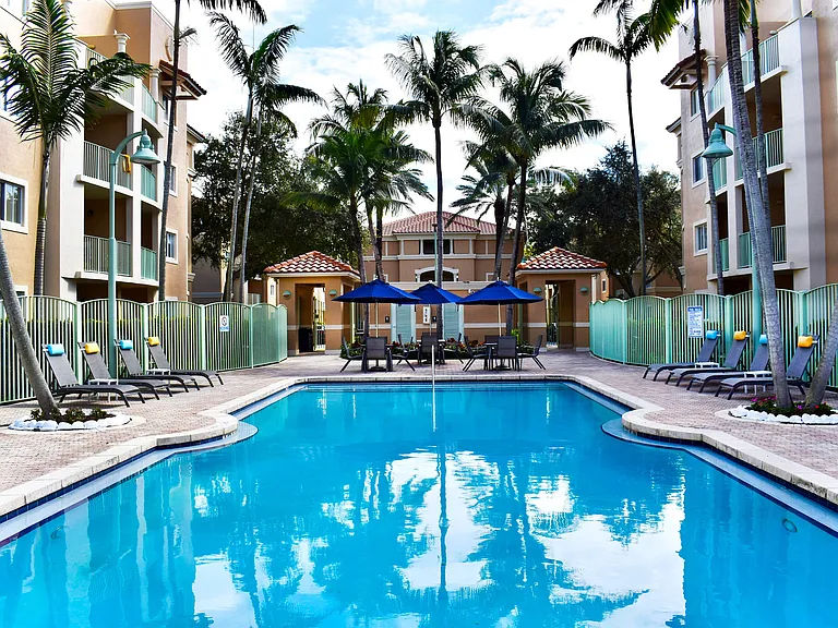 Lounge Around the Pool
