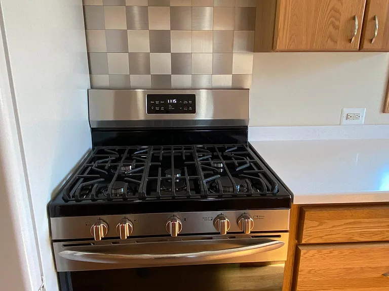 Brand new gas stove