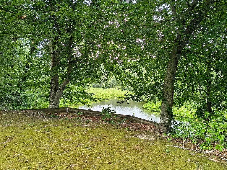 Back yard -river view