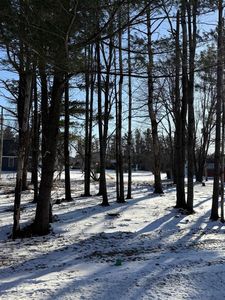 00 Schaller Street #7, Tomah, WI, 54660