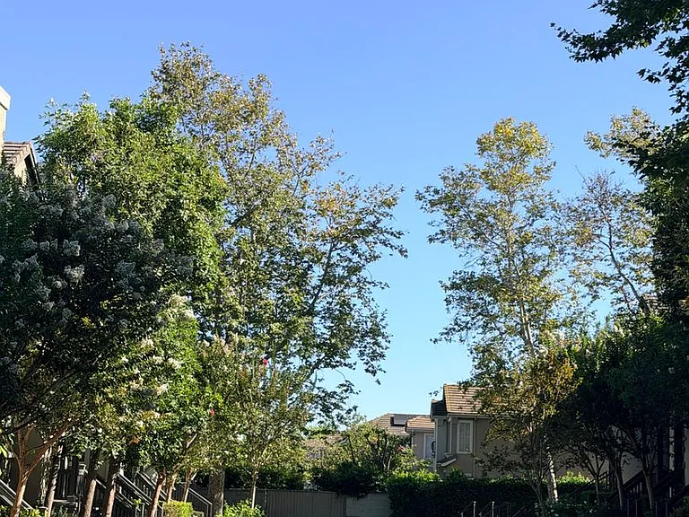 23 Tulare Dr — Photo 24
