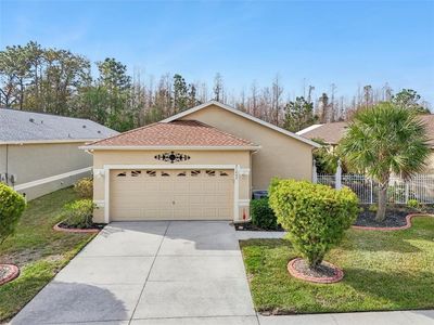 21042 Diamonte Dr, Land O Lakes, FL, 34637
