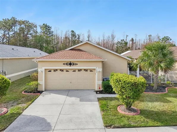 21042 Diamonte Dr, Land O Lakes, FL 34637