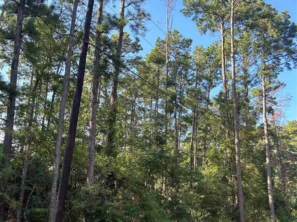 434445 Rob Rd, Livingston, TX 77351