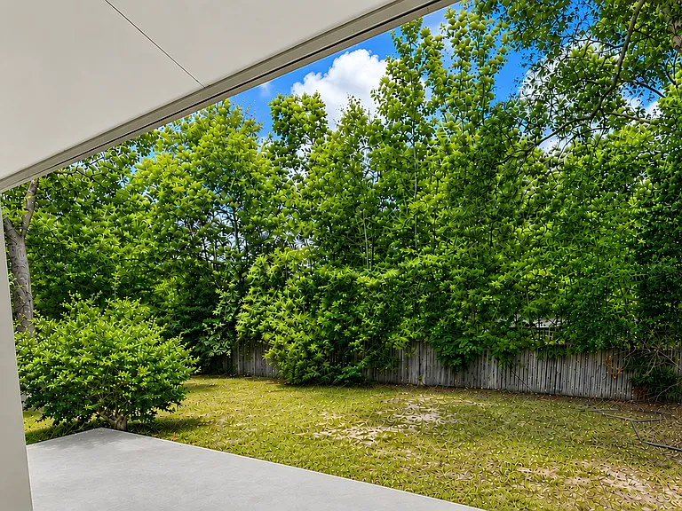 Back Patio