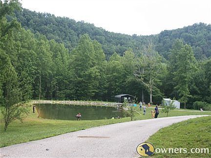 pond in front yard