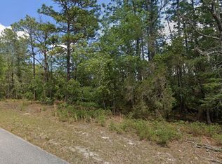 9181 N Satinwood Ter, Citrus Springs, FL 34433