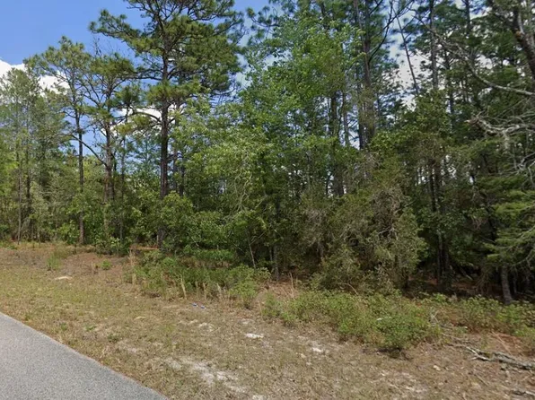 9181 N Satinwood Ter, Citrus Springs, FL 34433