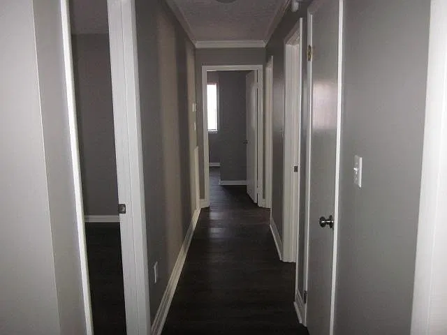 3 bed, 1.5 bath, 2050 sqft, $1,600 — Photo 4