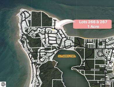 Island Woods Rd, Beaver Island, MI, 49782