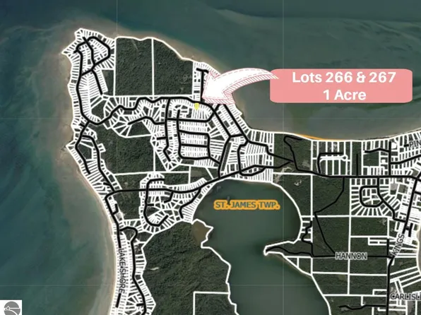 Island Woods Rd, Beaver Island, MI 49782