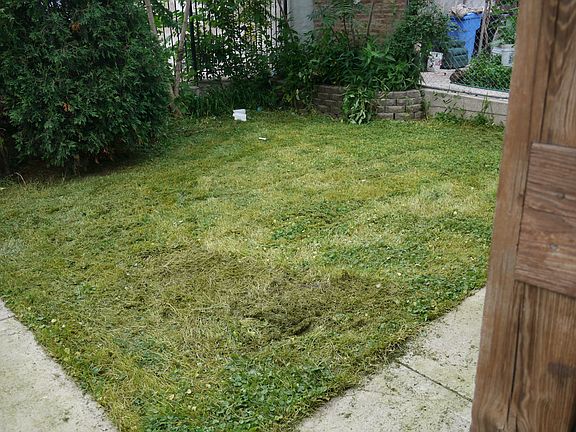 3rd image of 1542 N Rockwell St #1