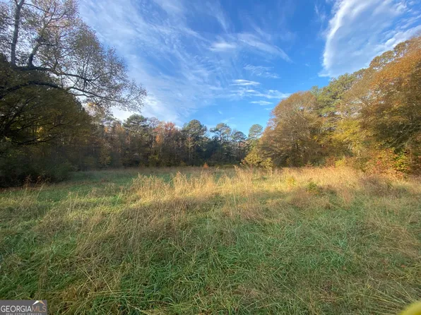 0 Lawshe Farm Dr, Senoia, GA 30276