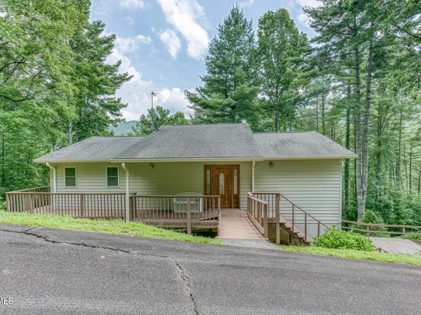 290 Lakeridge Dr, Butler, TN 37640