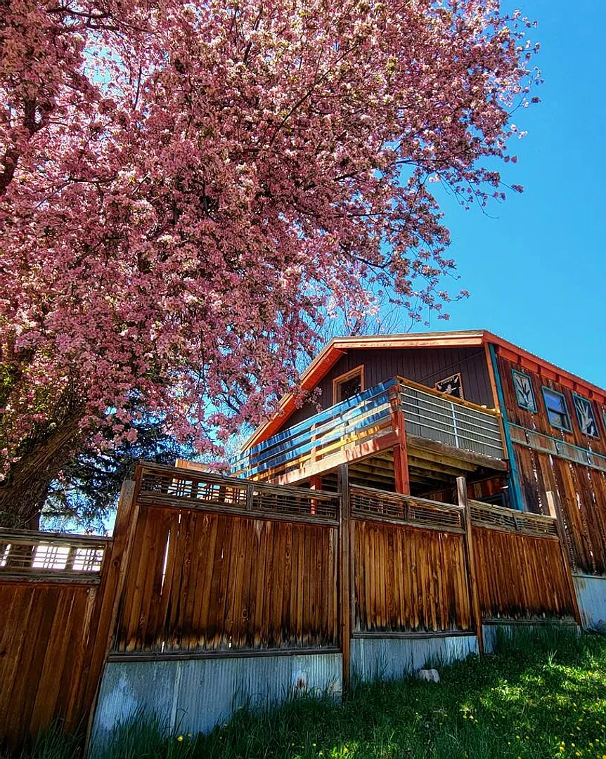 Downtown Pagosa Springs Gem Fully Renovated 4BR Home! — Photo 2
