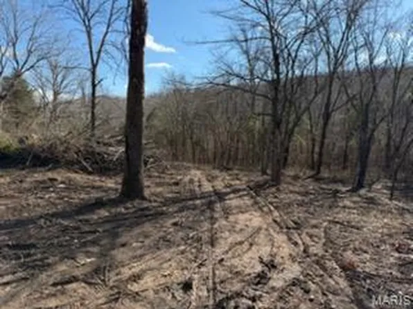 0 Highway V, Fredericktown, MO 63645