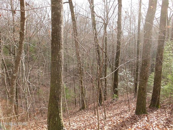 5th image of 624 Creek Rd