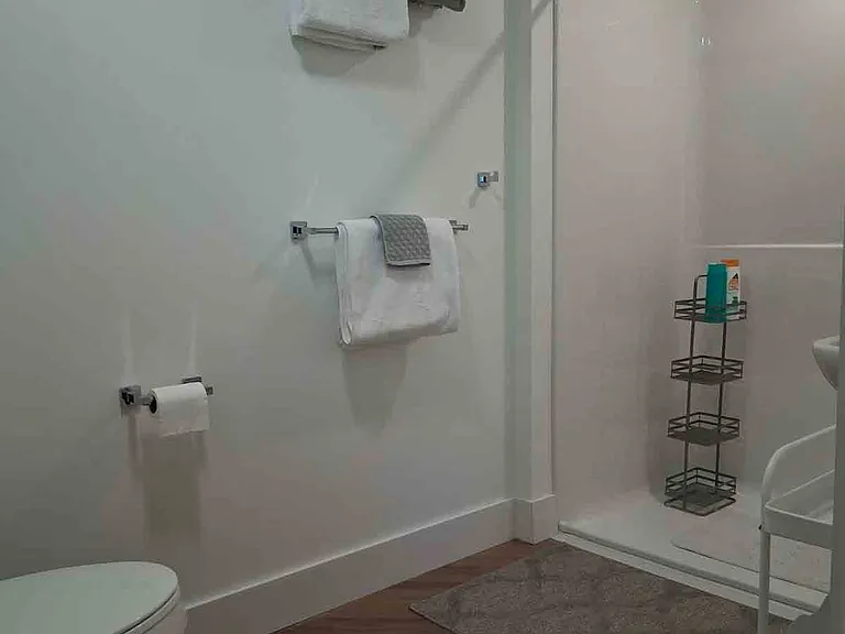 Low threshold shower
