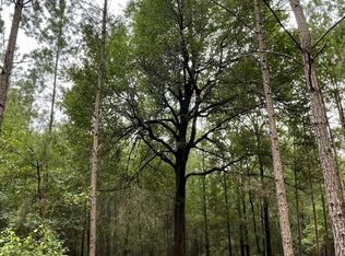 8 Warbonnet Rd, Springfield, SC 29146