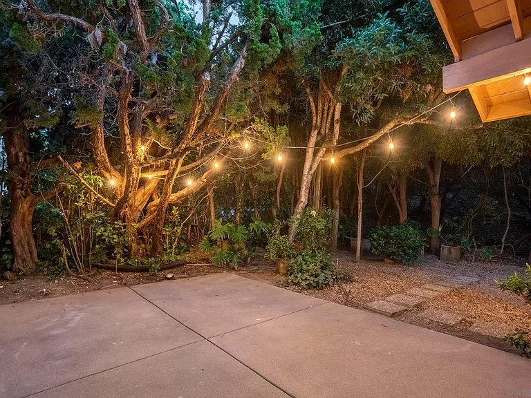 7415 Caminito Rialto — Photo 16