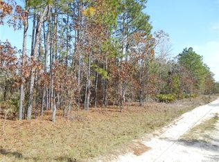 7151 W Crinoline Ln, Dunnellon, FL 34433