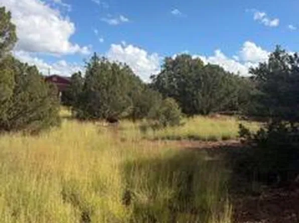 1765 Bighorn Pl, Show Low, AZ 85901
