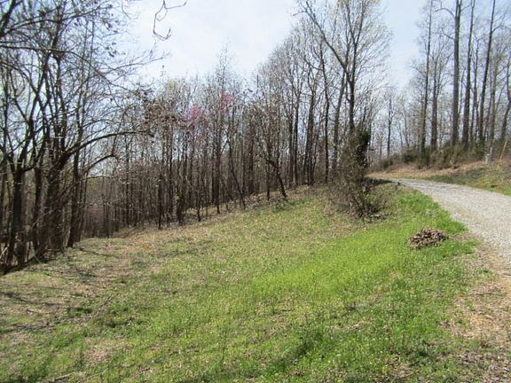 4th image of 24.82AC Hickory Ln Lot 11