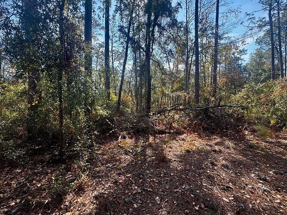 1st image of 0 NE Timber River Loop