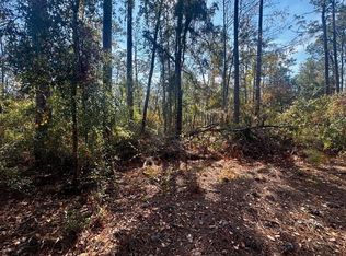 0 NE Timber River Loop, Lee, FL 32059