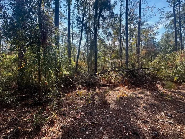 0 NE Timber River Loop, Lee, FL 32059
