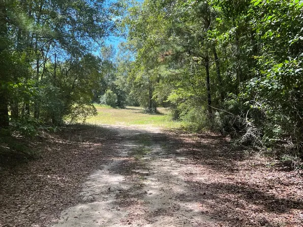 1915 County Road 330, Elba, AL 36323