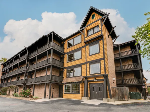450 N Main St APT S403b, Wauconda, IL 60084