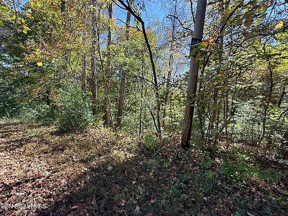 4th image of Indian Creek Rd