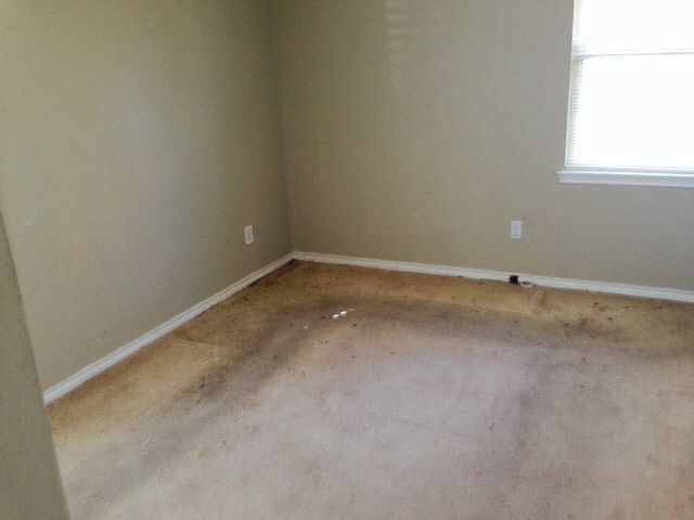 1st image of 309 Palm Oak Dr