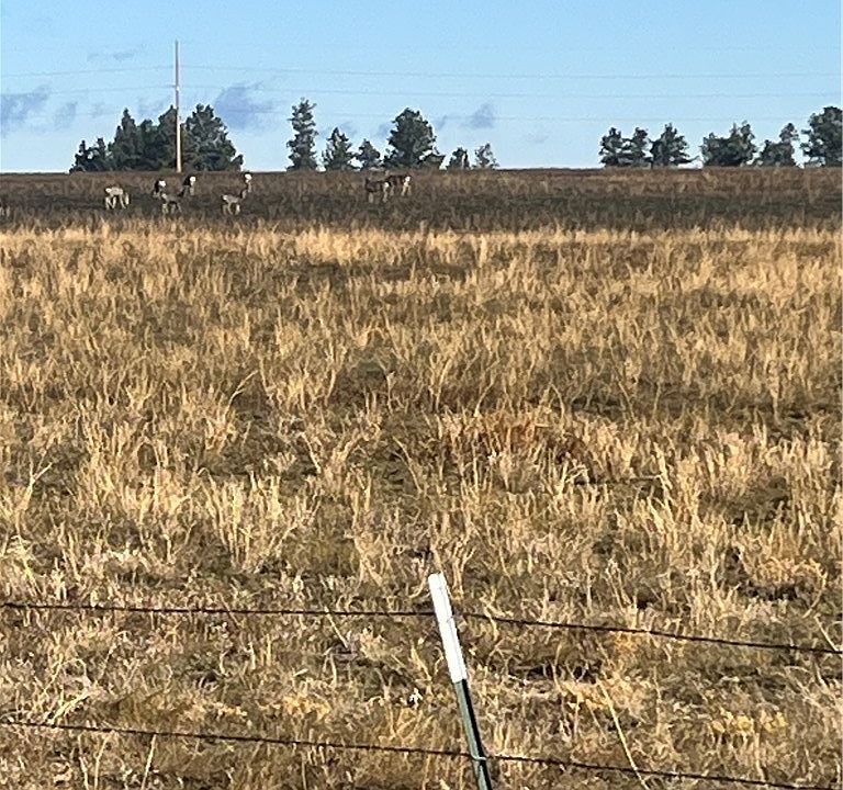 1st image of 647 Majerus Rd Lot 1