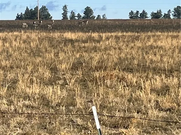 647 Majerus Rd Lot 1, Roundup, MT 59072