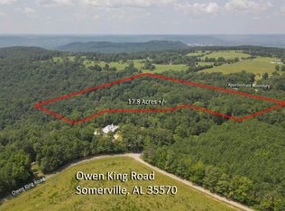 178AC S Owen King Rd, Somerville, AL 35670