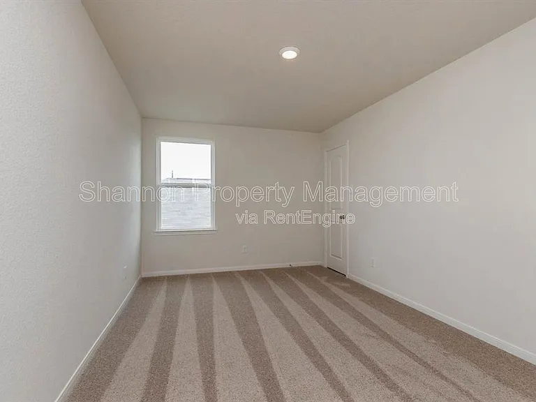 20722 Nala Bear Dr — Photo 14