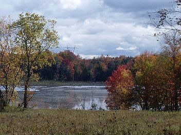 field and pond view