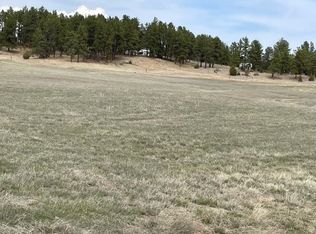 Old Cabin Rd, Custer, SD 57730