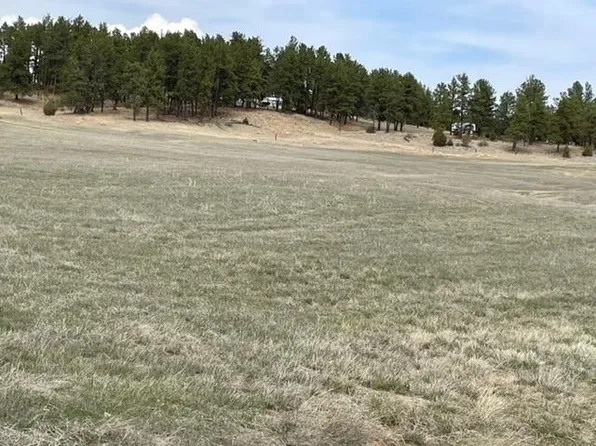 Old Cabin Rd, Custer, SD 57730