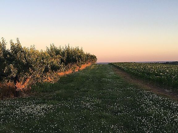 Panorama South to North