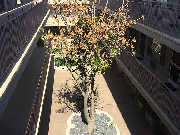 3rd image of 11255 Camarillo St #103